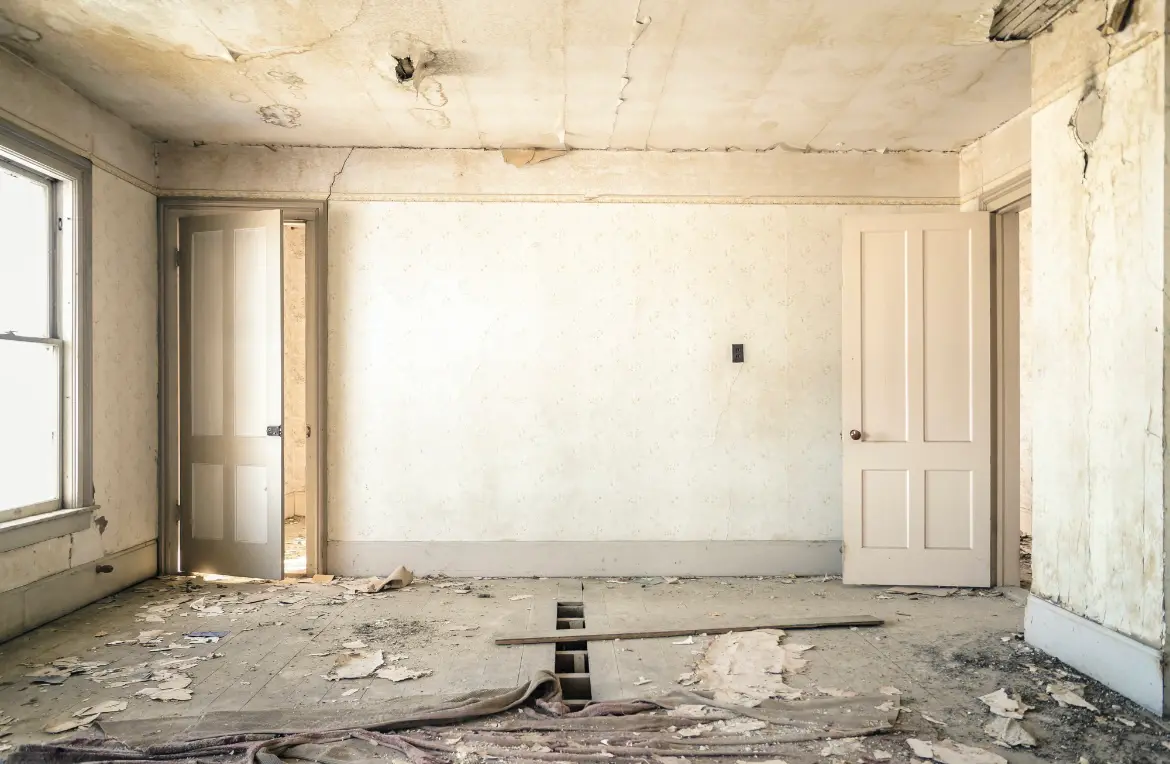 Waste disposal crew managing a cleanout project in Jamul